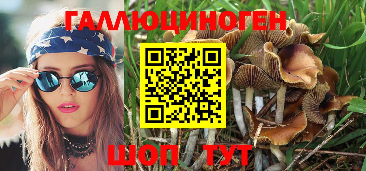 Галлюциногенные грибы Psilocybe  Вход с VPN  Галлюциногенные грибы GOLDEN TEACHER  Георгиевск 
